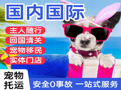 无锡空运地址国际宠物托运 【国